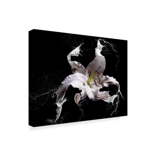 Lori Hutchison 'Lily Splash' Canvas Art,18x24